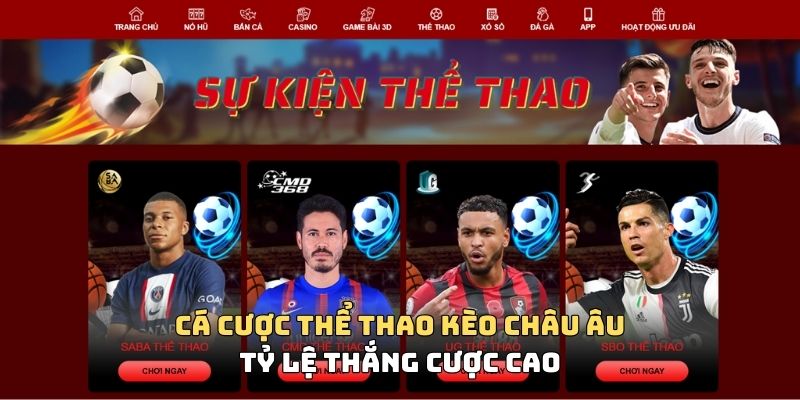 Giải thích về cá cược thể kèo Châu Âu