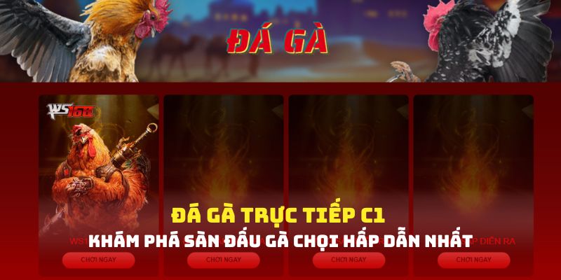  Đôi nét về đá gà trực tiếp C1